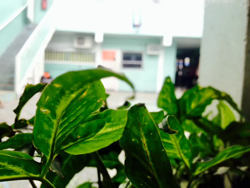 IMG_8316(1).jpeg