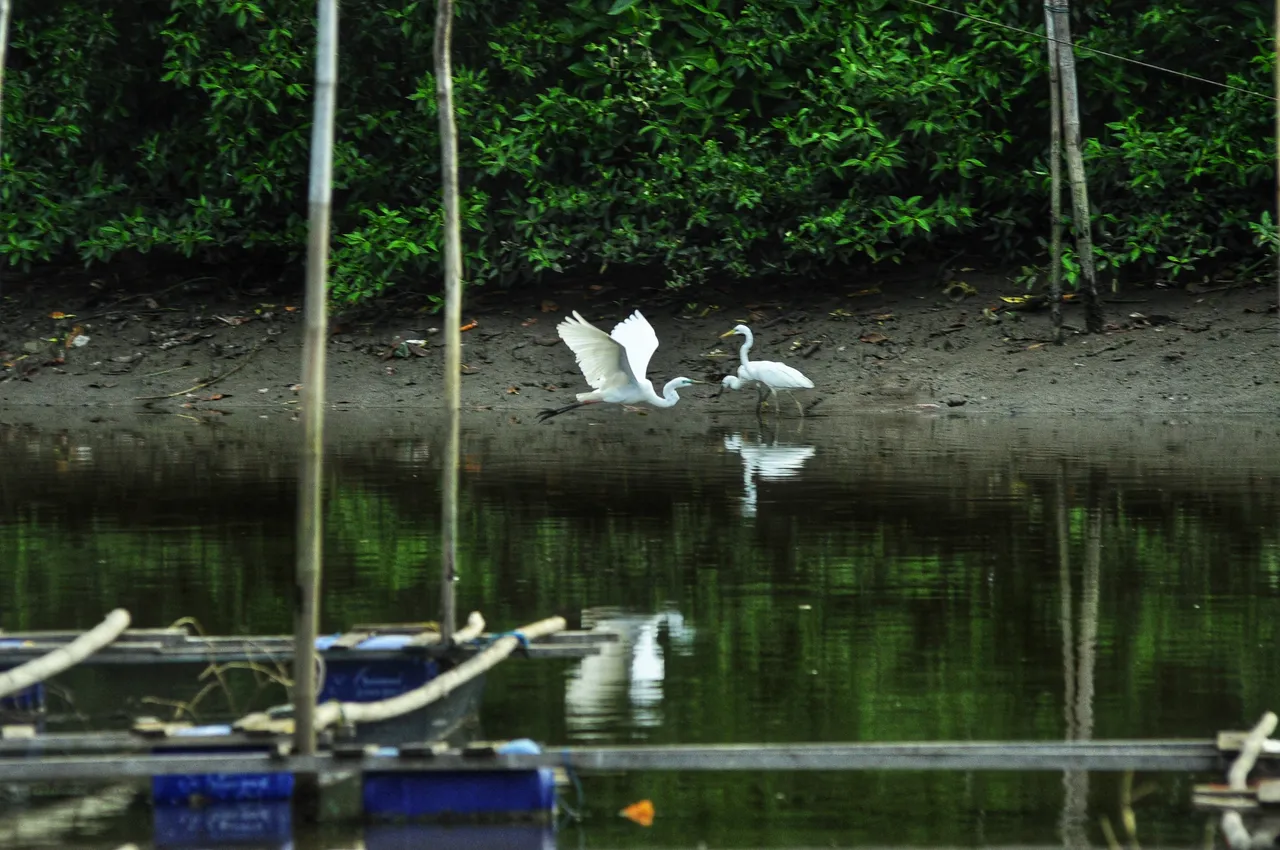 DSC_2281-01.jpeg