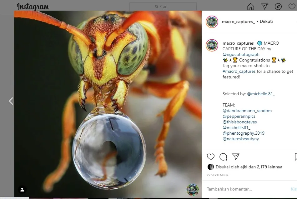 Screenshot_1.jpg