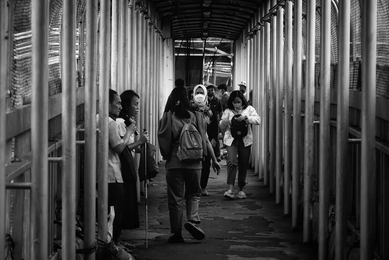 DSC06650-02.jpeg