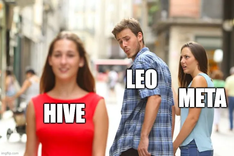 hiveleometa.jpeg