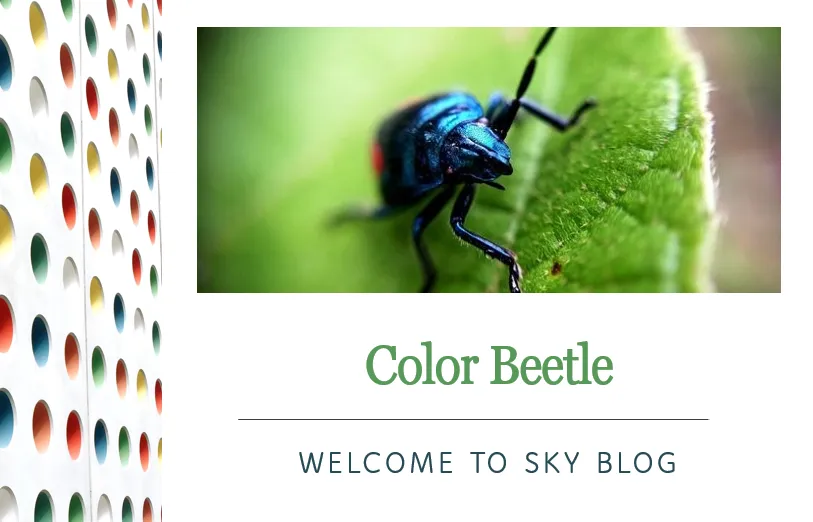 colorbeetle0.PNG