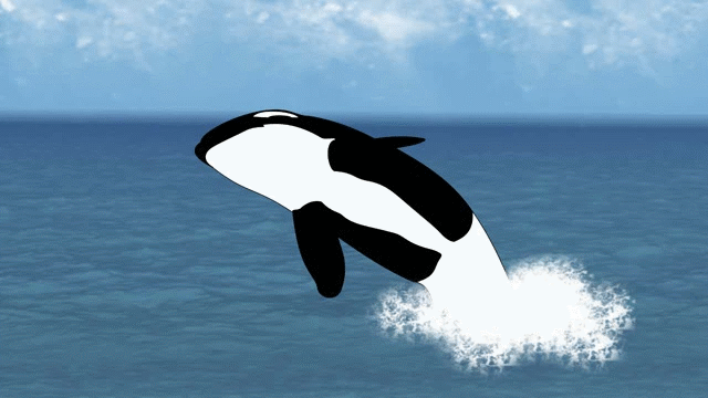 upmewhaleeee.gif