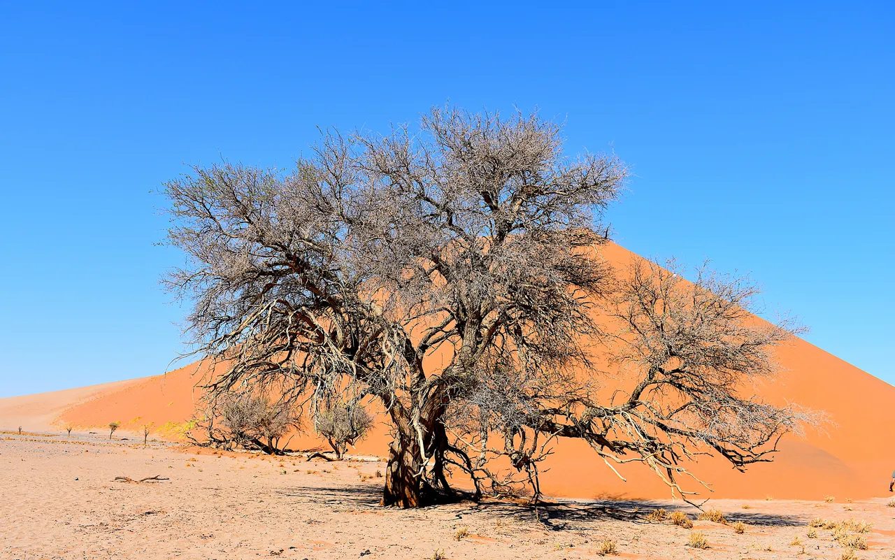 Namibie-2bis.jpg