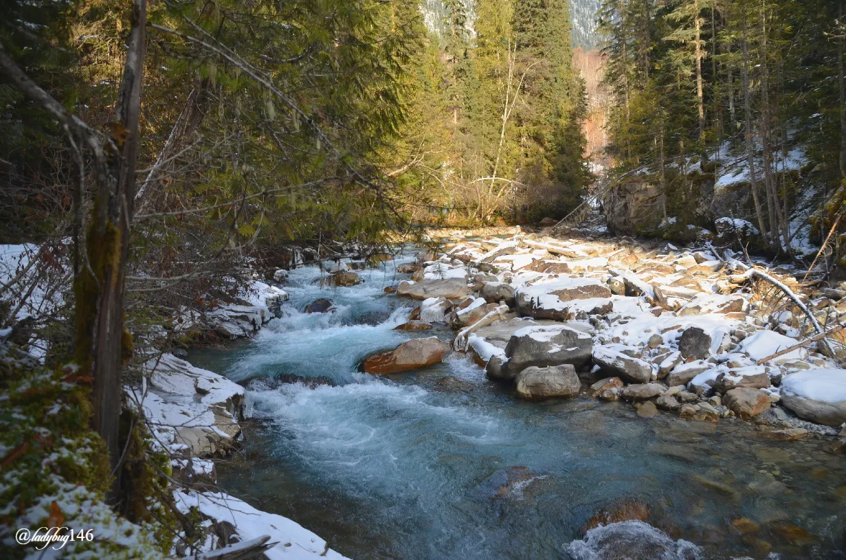 robson river.jpg