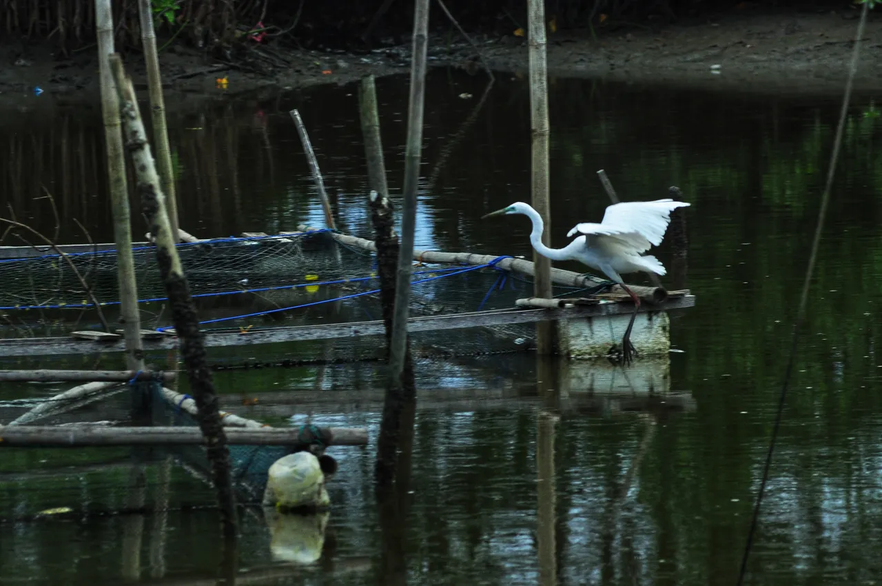 DSC_2293-01.jpeg