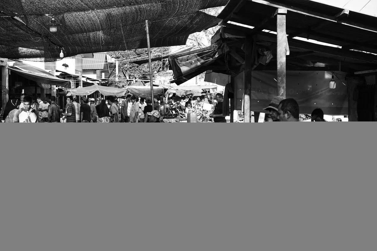 DSC02839-01.jpeg