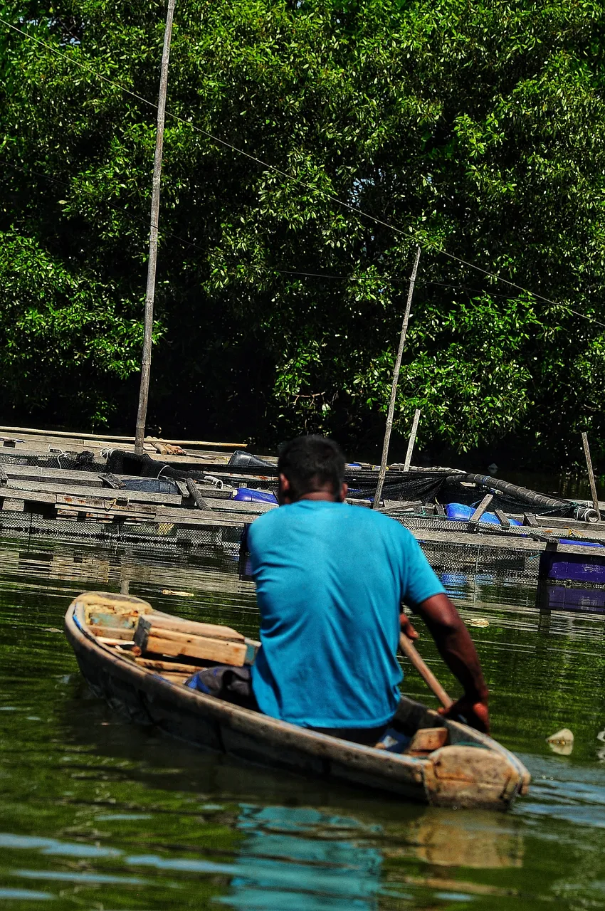 DSC_1871-01.jpeg