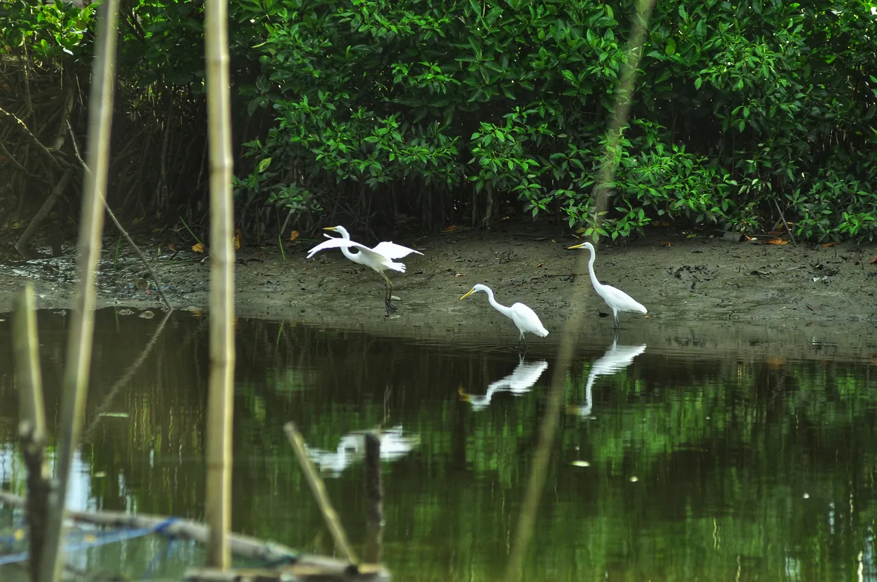 DSC_2280-01.jpeg