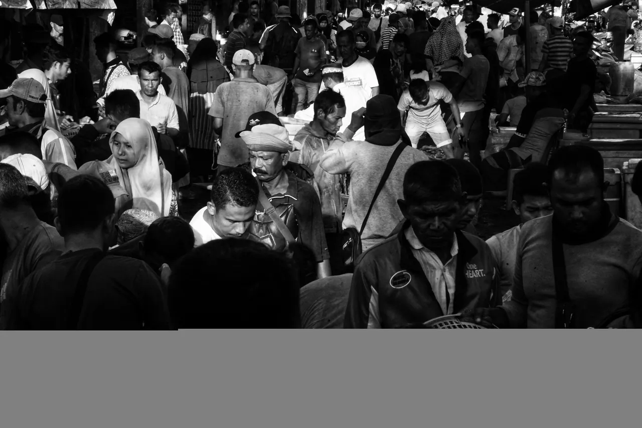 DSC02586-01.jpeg