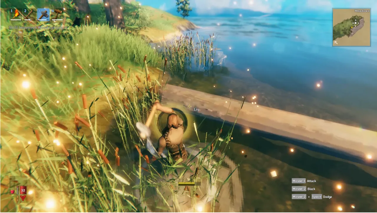 Snapshot_214.png