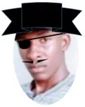 tesaganewton.jpg