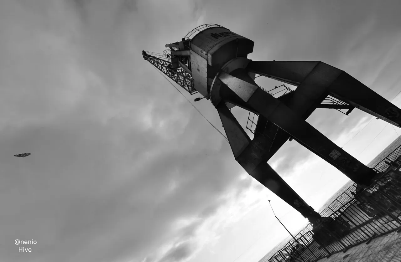 crane-007-bw.jpg