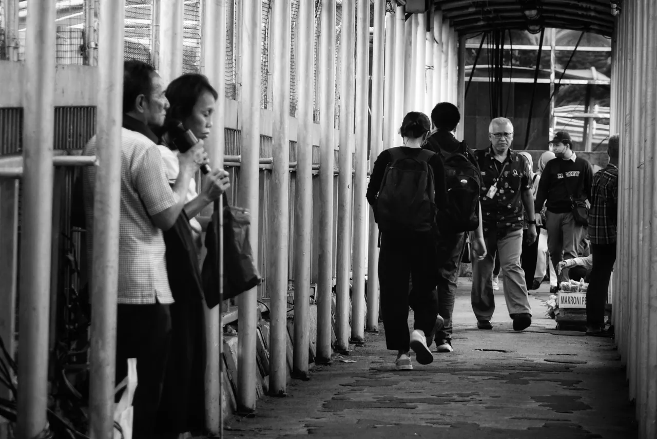 DSC06611-01.jpeg