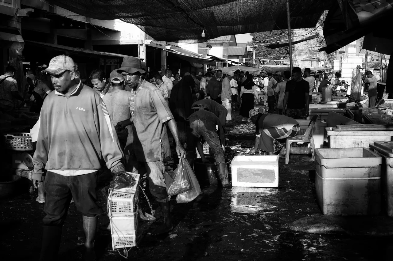 DSC02842-01.jpeg