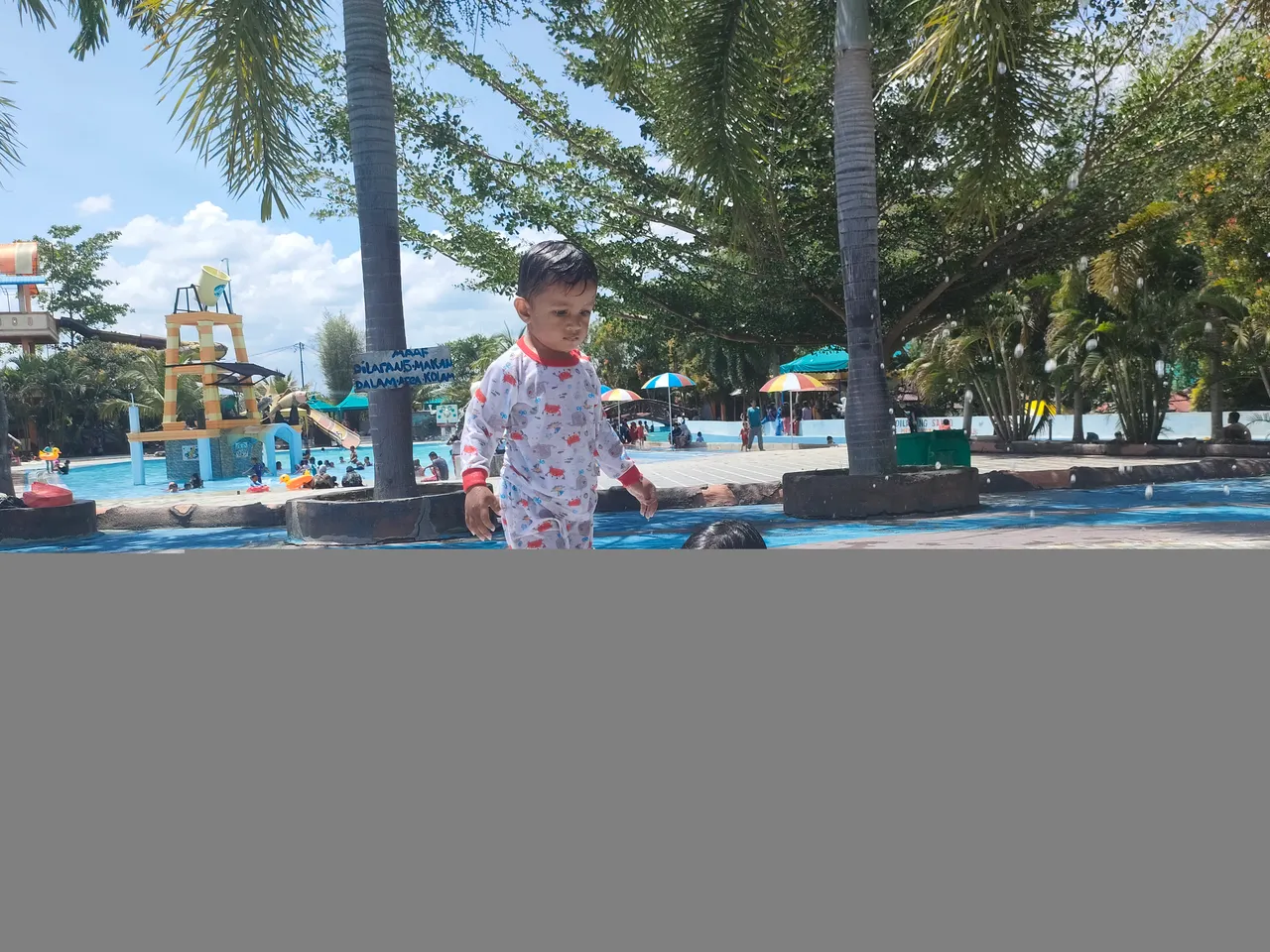 IMG_78683559.jpg