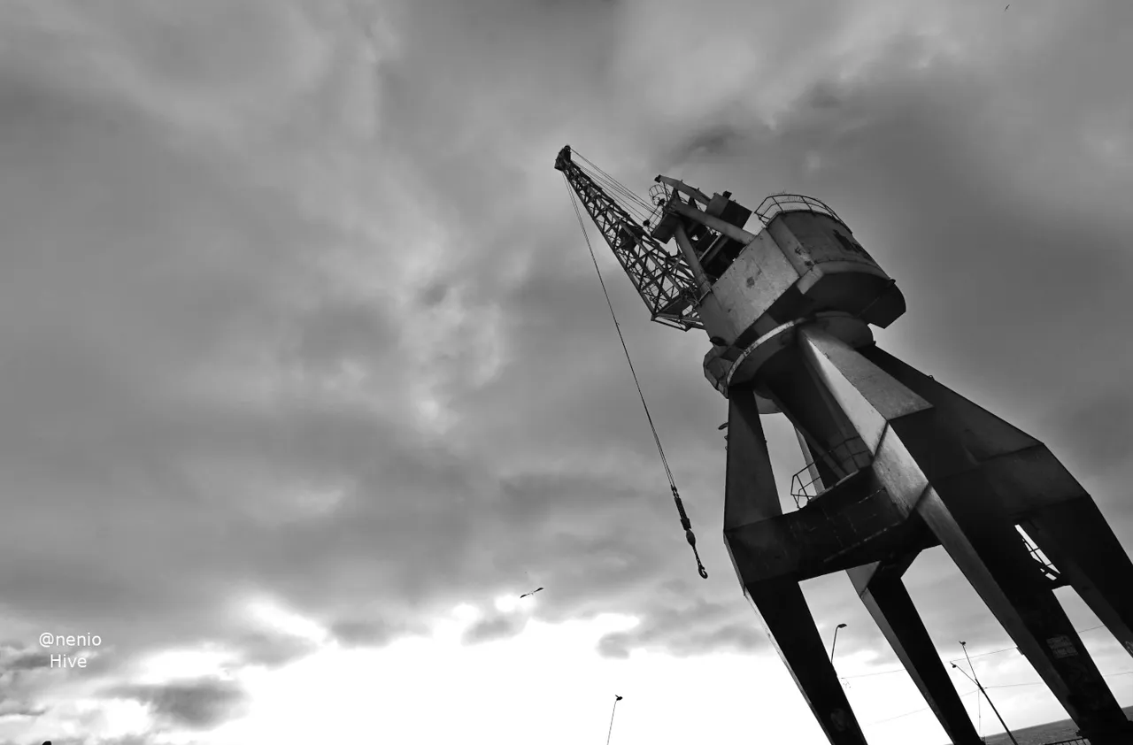 crane-008-bw.jpg