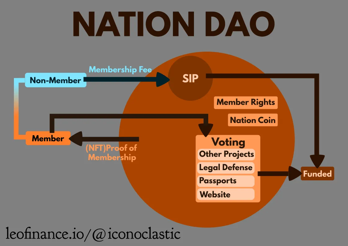 Nation DAO Diagram