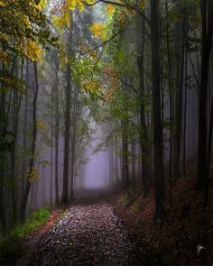 Lonely-paths.jpg