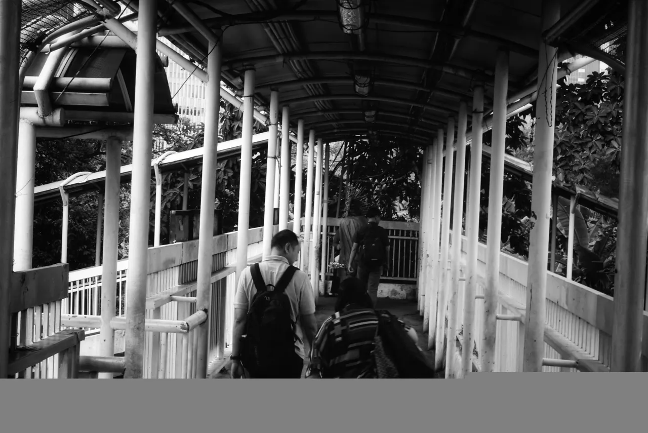 DSC06558-02.jpeg