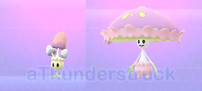 thumbnail.fw.png