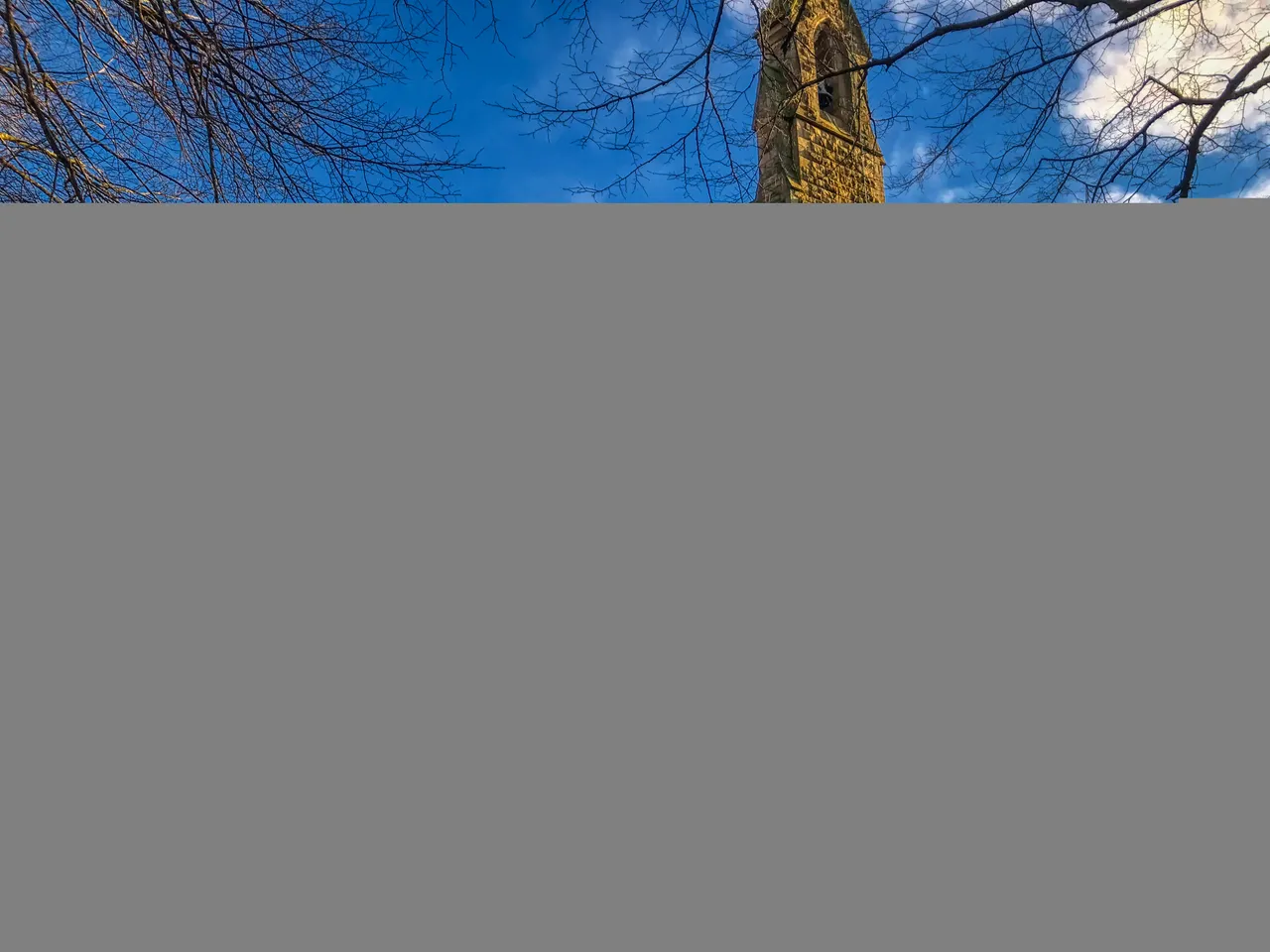 1_IMG_1486_1.jpg