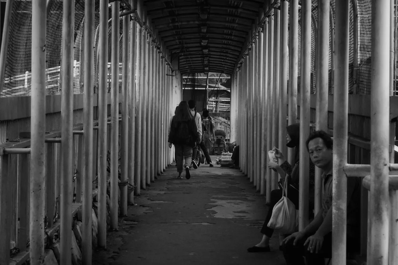 DSC06497-01.jpeg