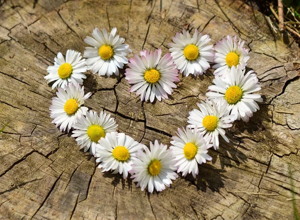 love.webp