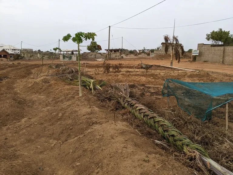 Farm 12.jpg