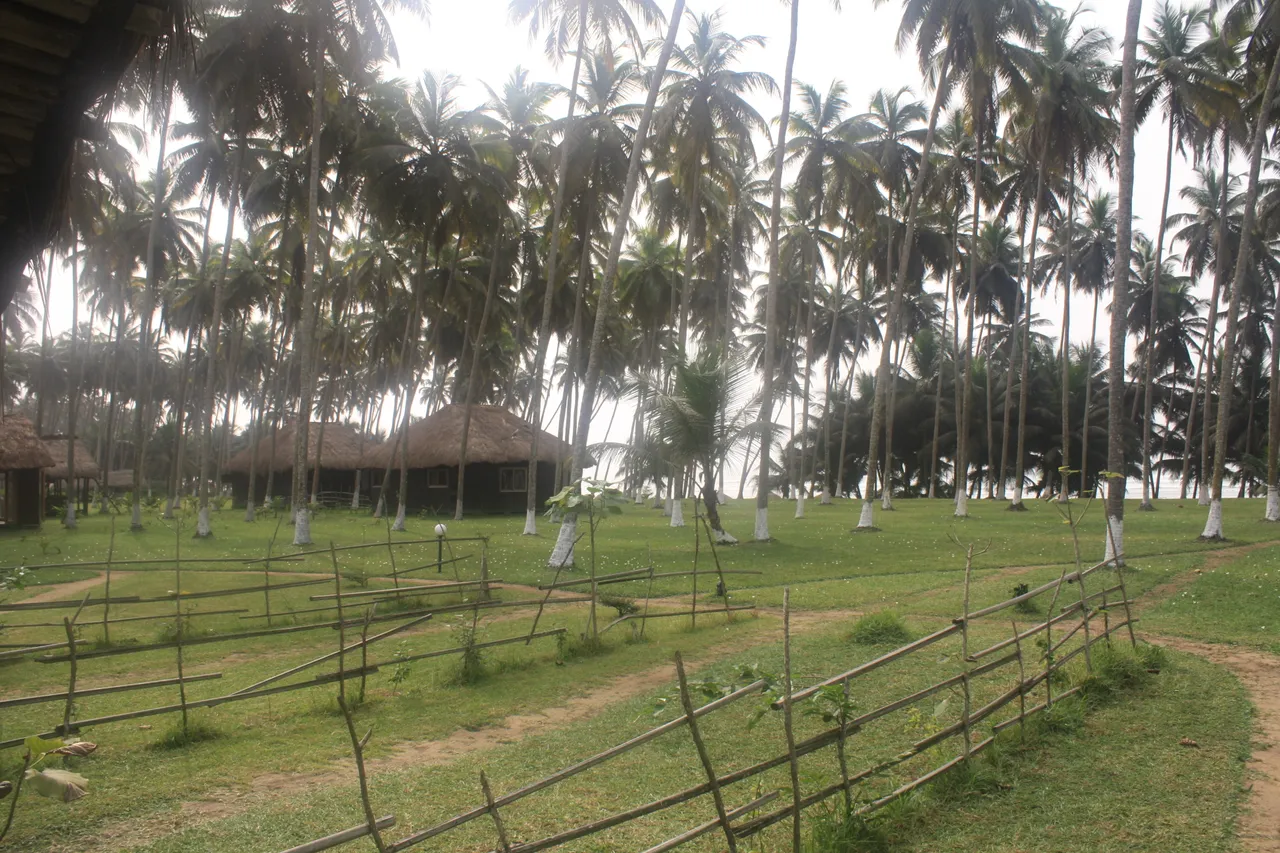 Ghana 2011 912.JPG