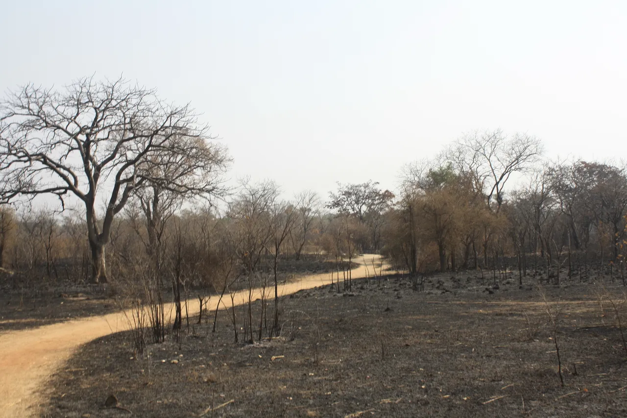 Ghana 2011 1682.JPG