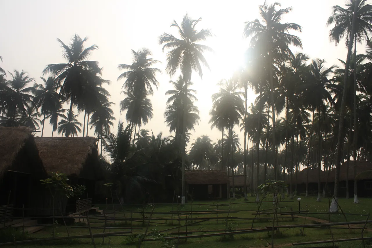 Ghana 2011 909.JPG