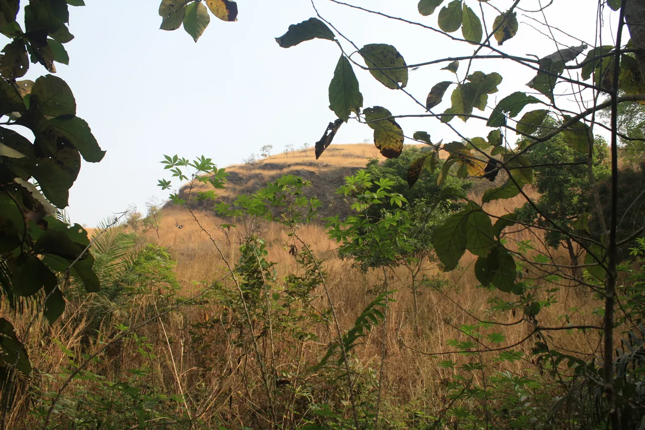 Ghana 2011 1982.JPG