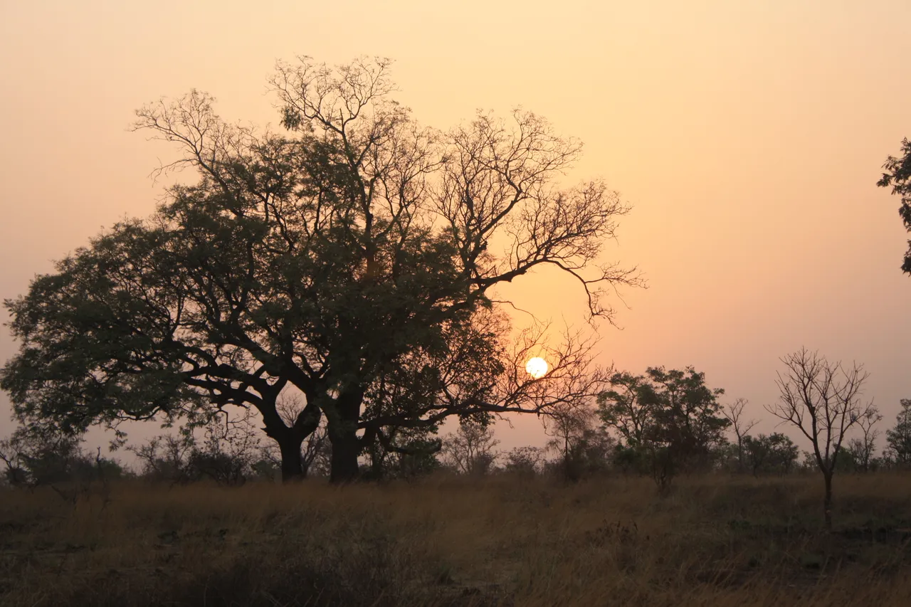 Ghana 2011 1650.JPG