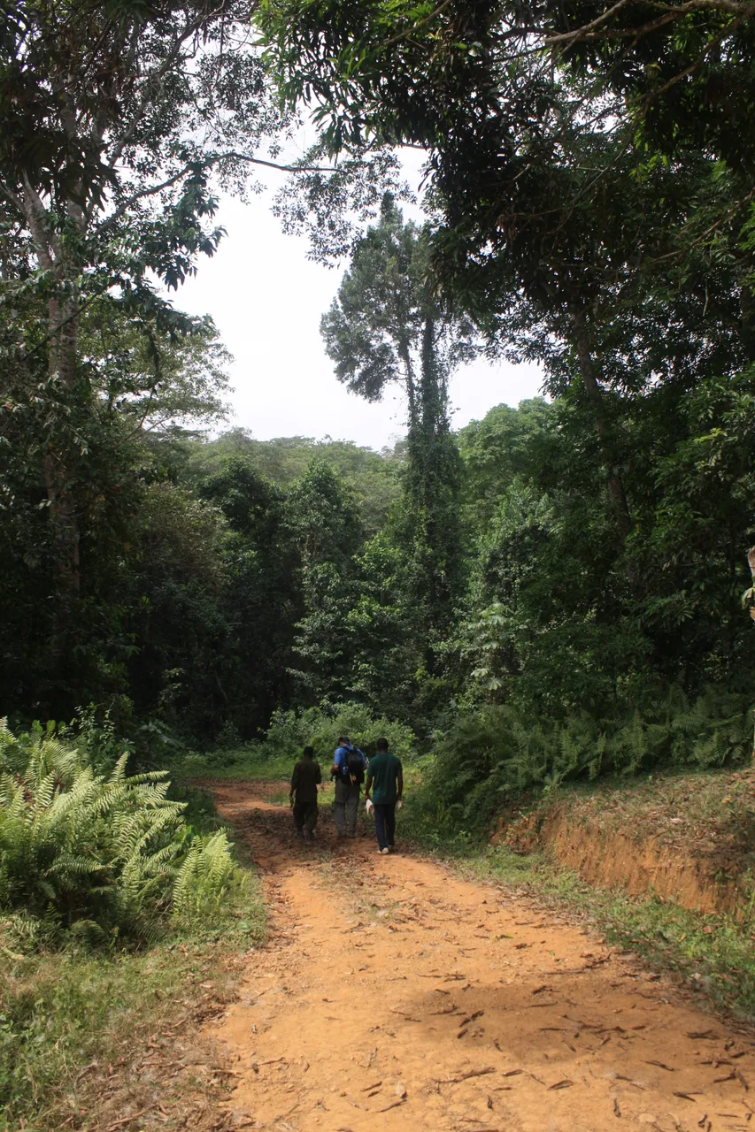 Ghana 2011 1121.JPG