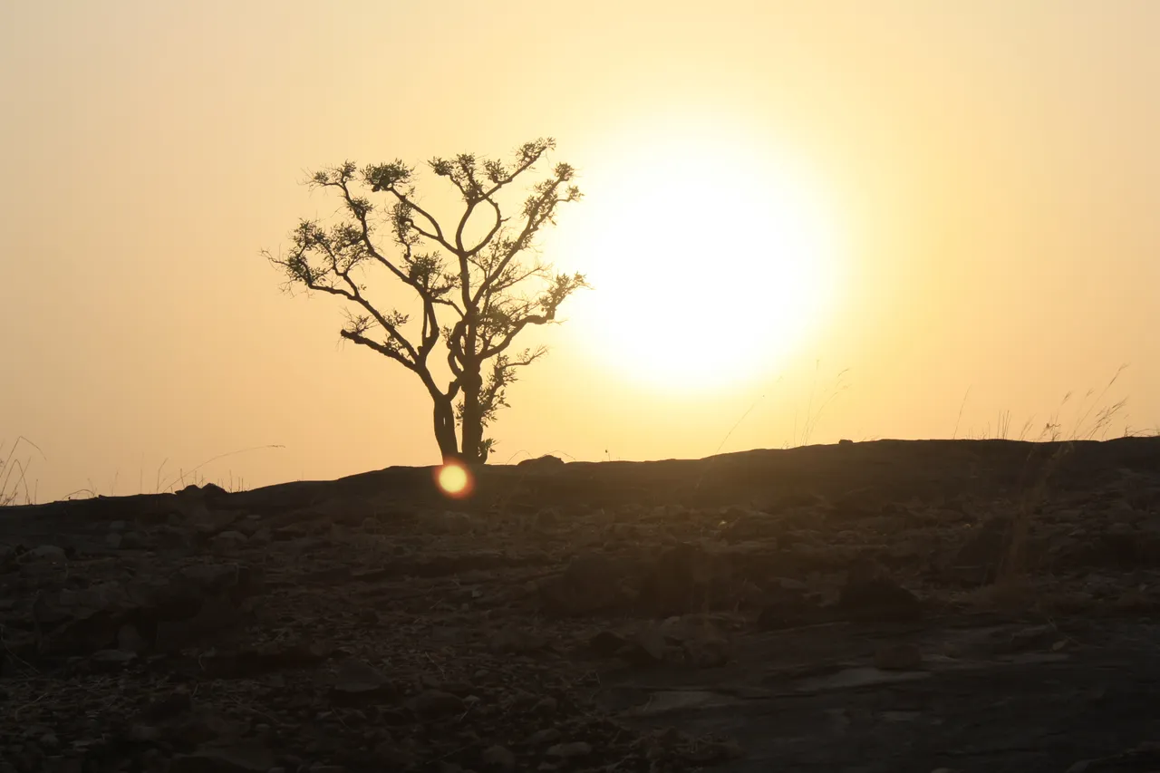 Ghana 2011 1657.JPG