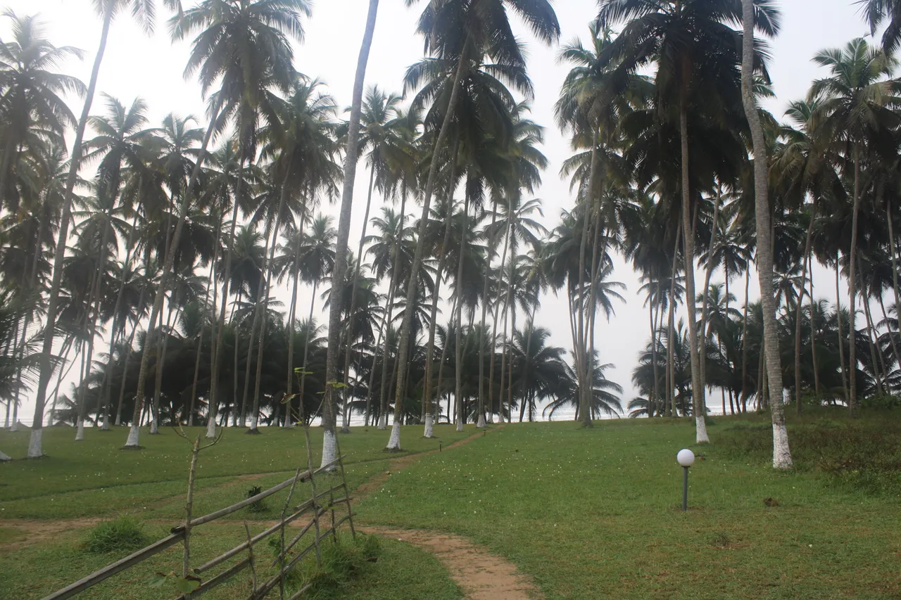 Ghana 2011 908.JPG