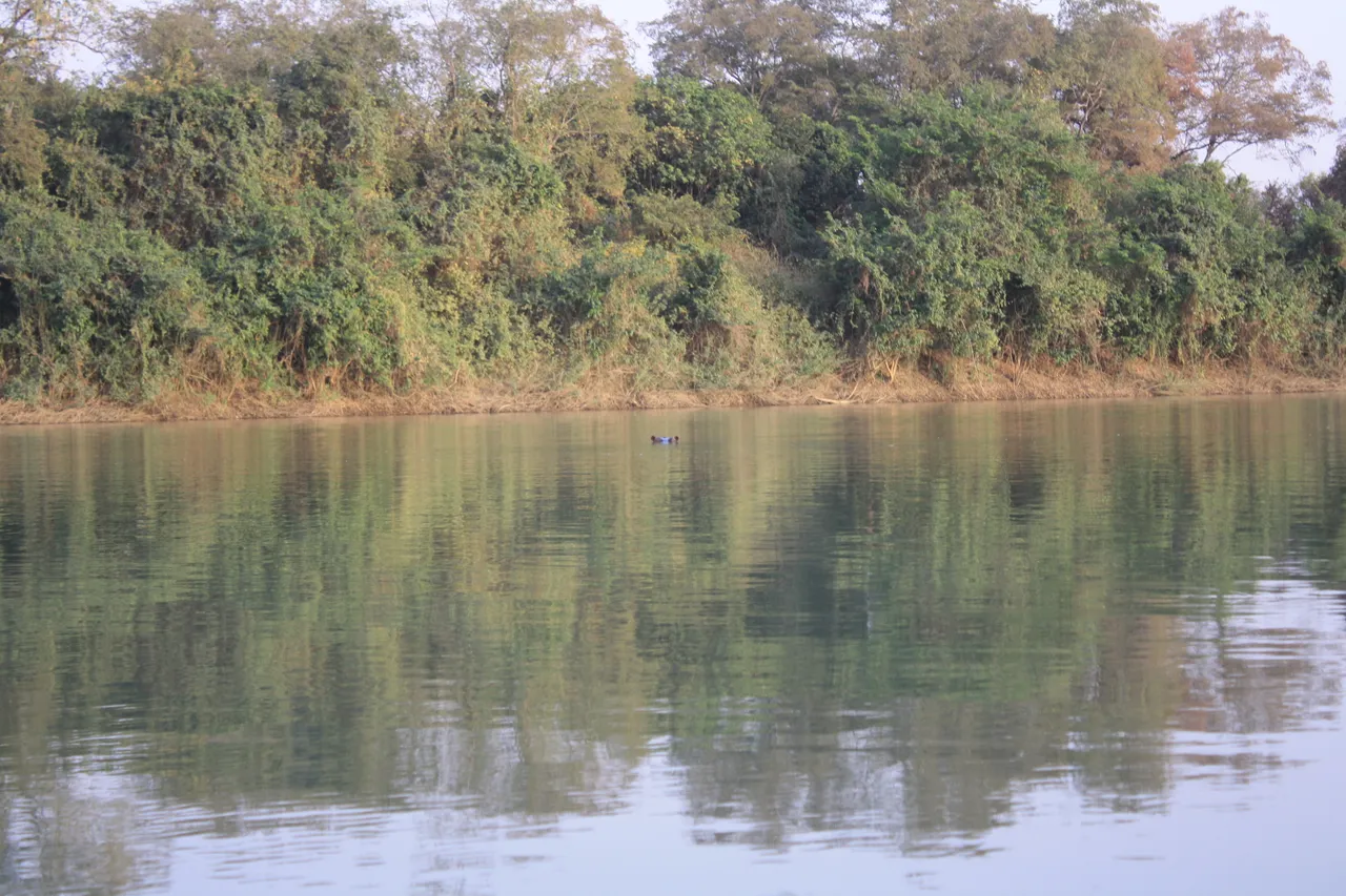 Ghana 2011 1626.JPG