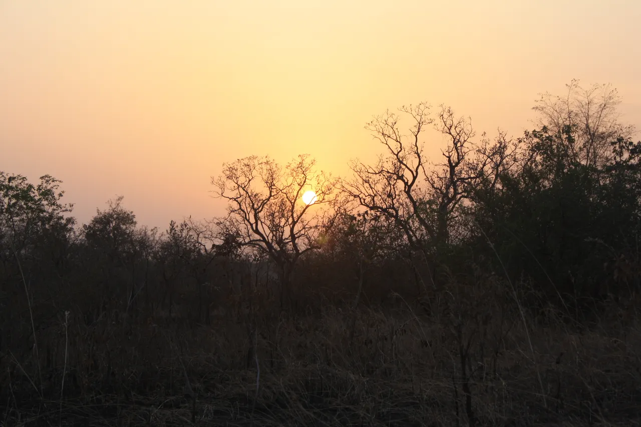 Ghana 2011 1647.JPG