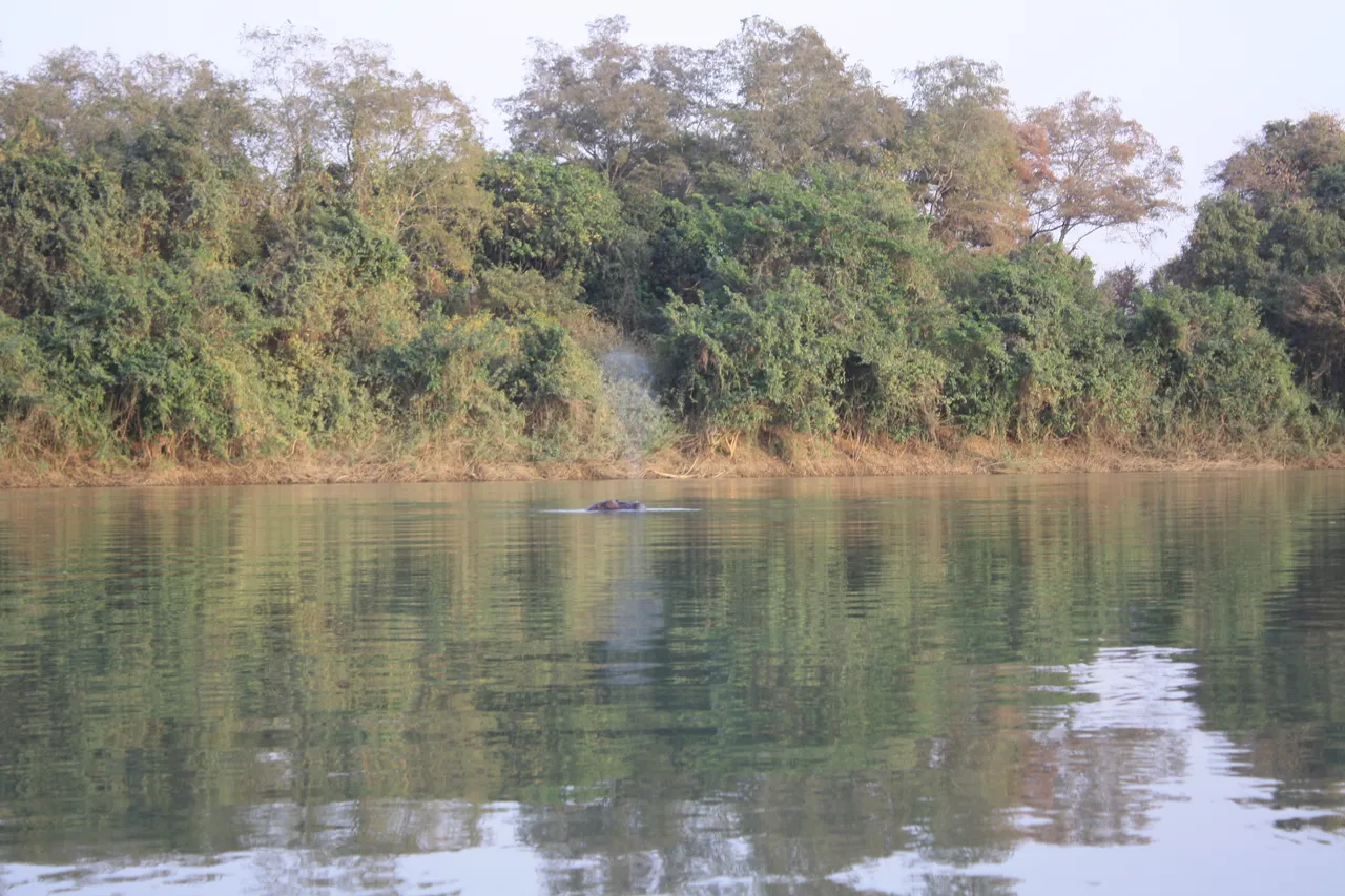Ghana 2011 1629.JPG