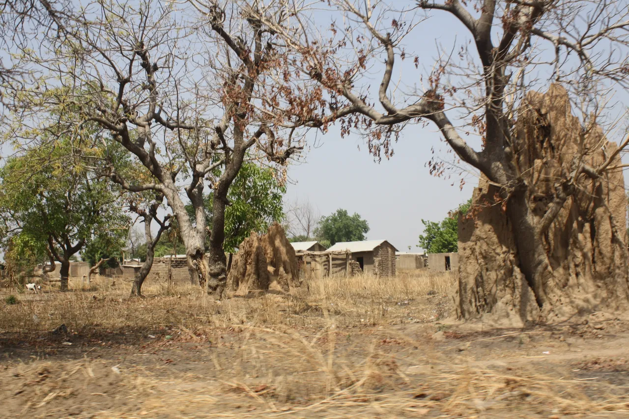 Ghana 2011 1587.JPG