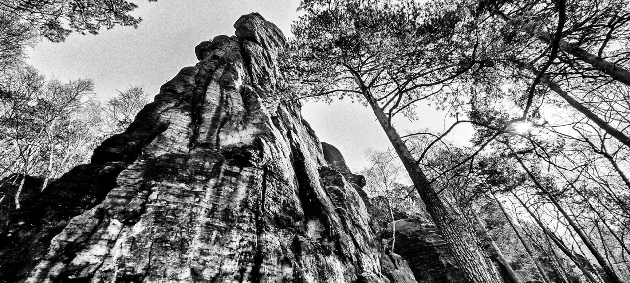 Rocks and wood