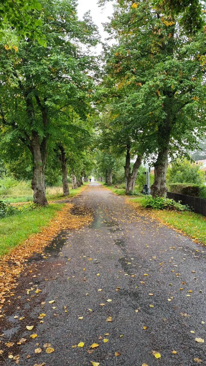 In September, it is getting colder a bit by a bit every day....