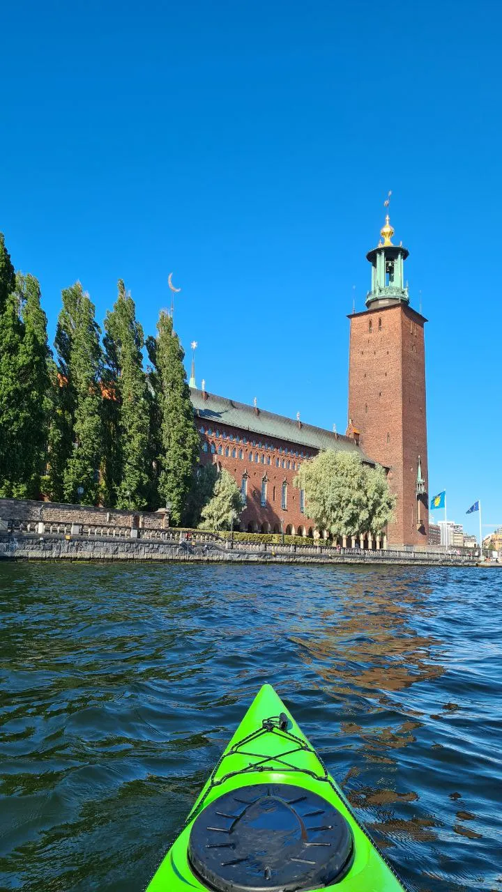 So beautiful! Stockholm City Hall! - https://cityhall.stockholm/city-hall-tower/