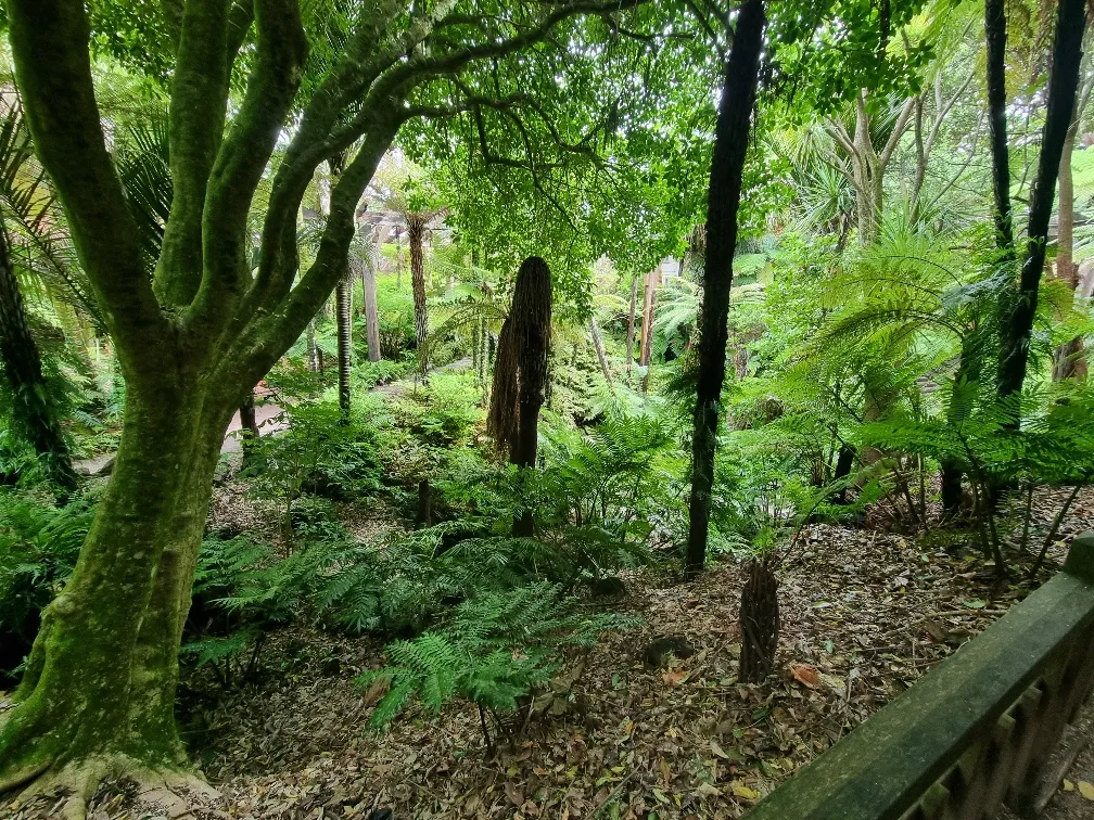 The Fernery inside the Winter Garden