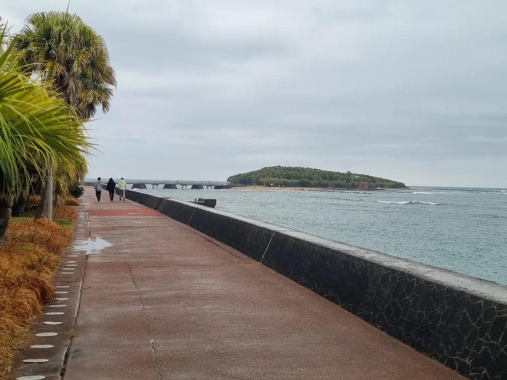 The Botanical Gardens went all the way to a coastal path which led to a Bridge that went out to Island of Aoshima but that was another post.