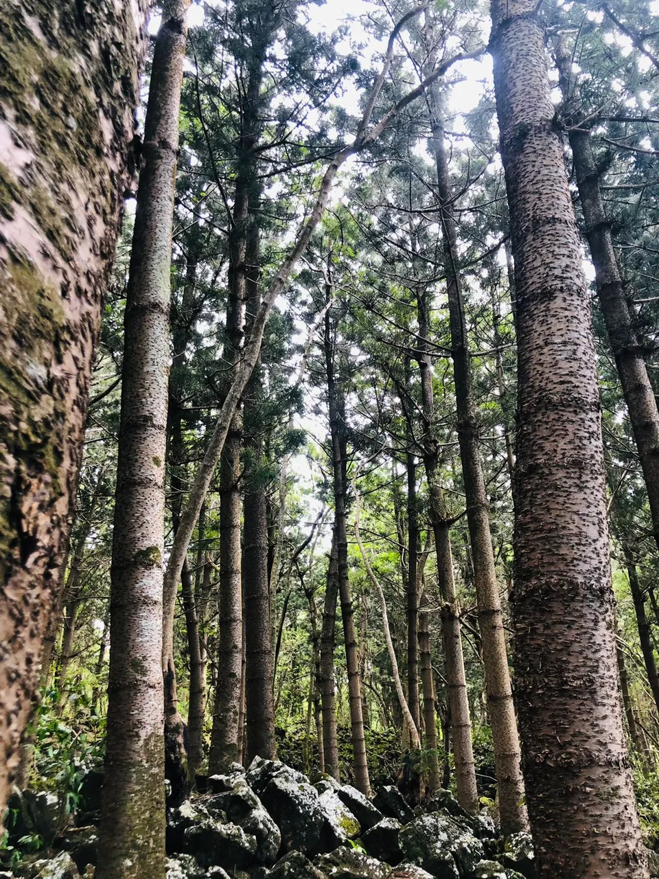 If you are a hiking fan...you’ll enjoy Bras D’eau a lot!