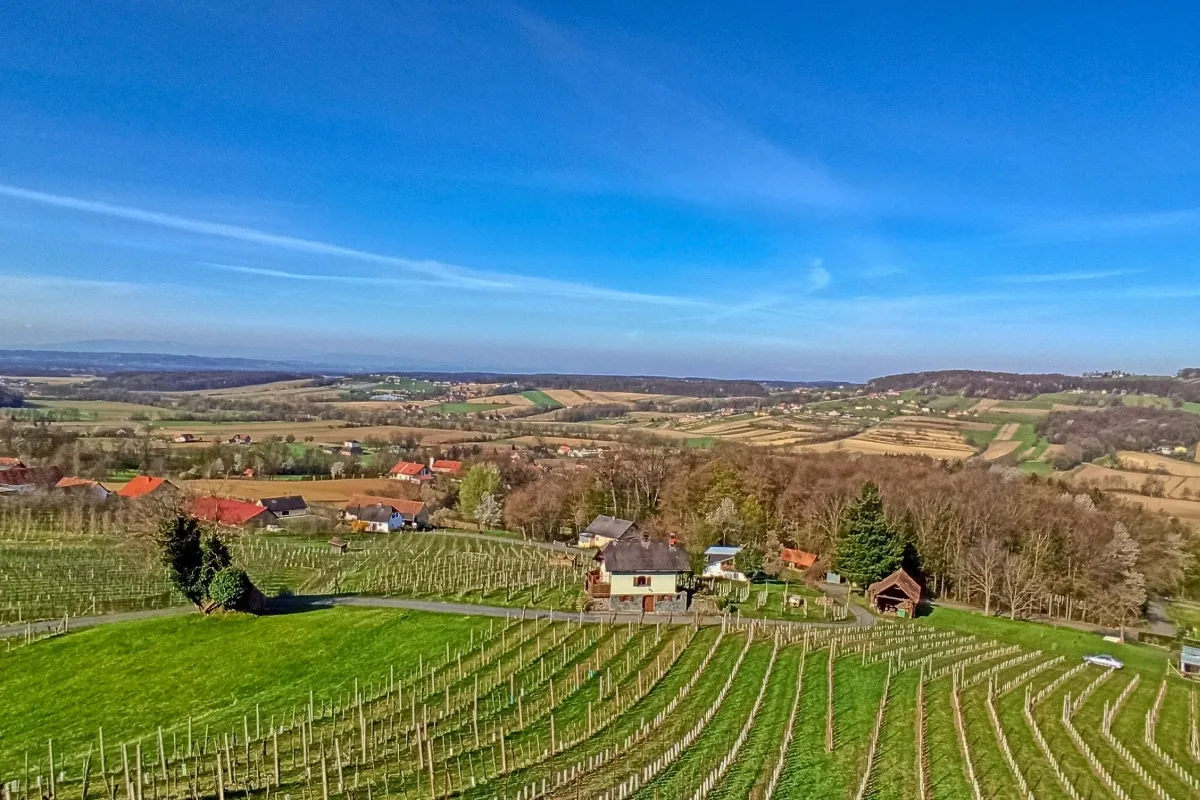 View from the lookout tower