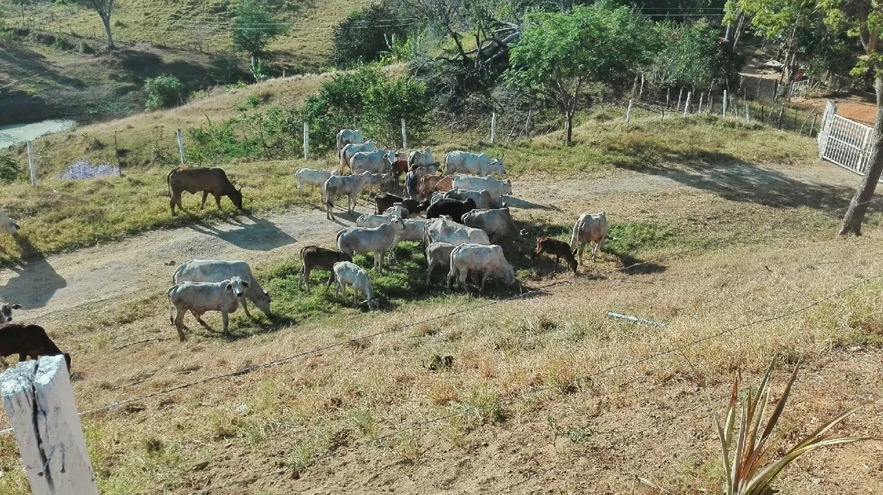 11c1f8f38b731209a33f6f80c5f1a7b9