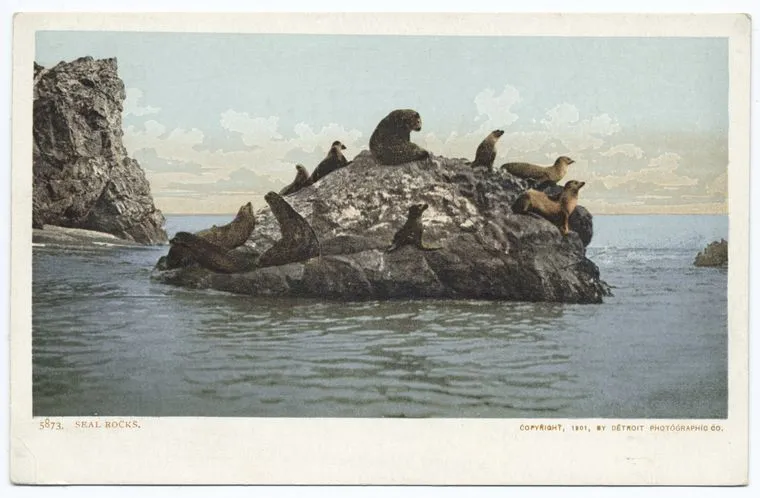 Seal Rock.jpg